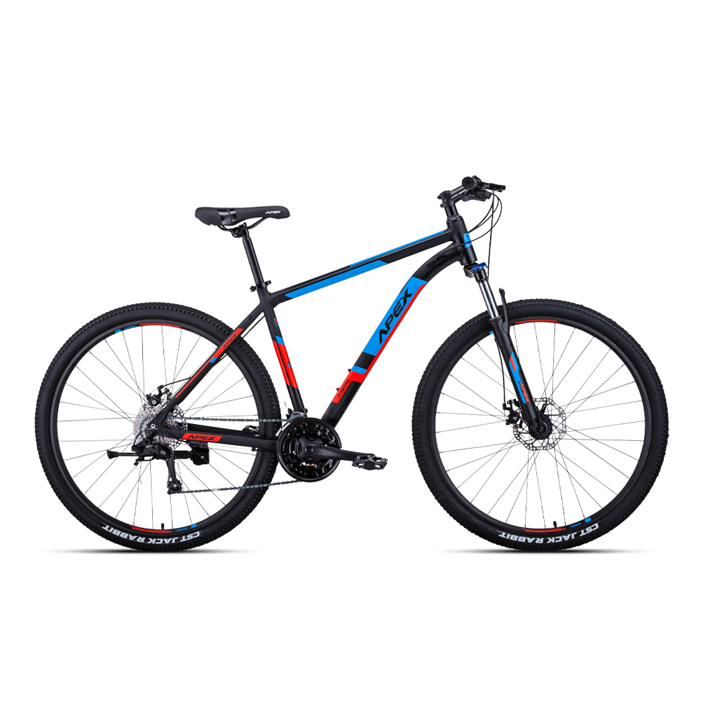 Apex Bicycles A900 Unisex 29