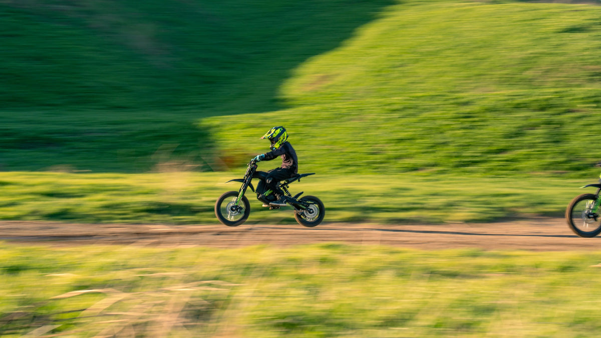 Rawrr - Mantis Mini R