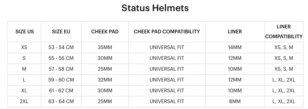 100% - Status Helmet