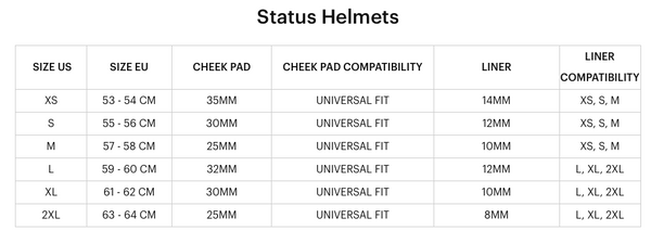100% - Status Helmet